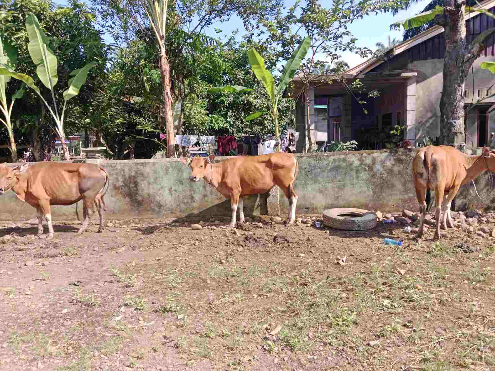Kota Bengkulu