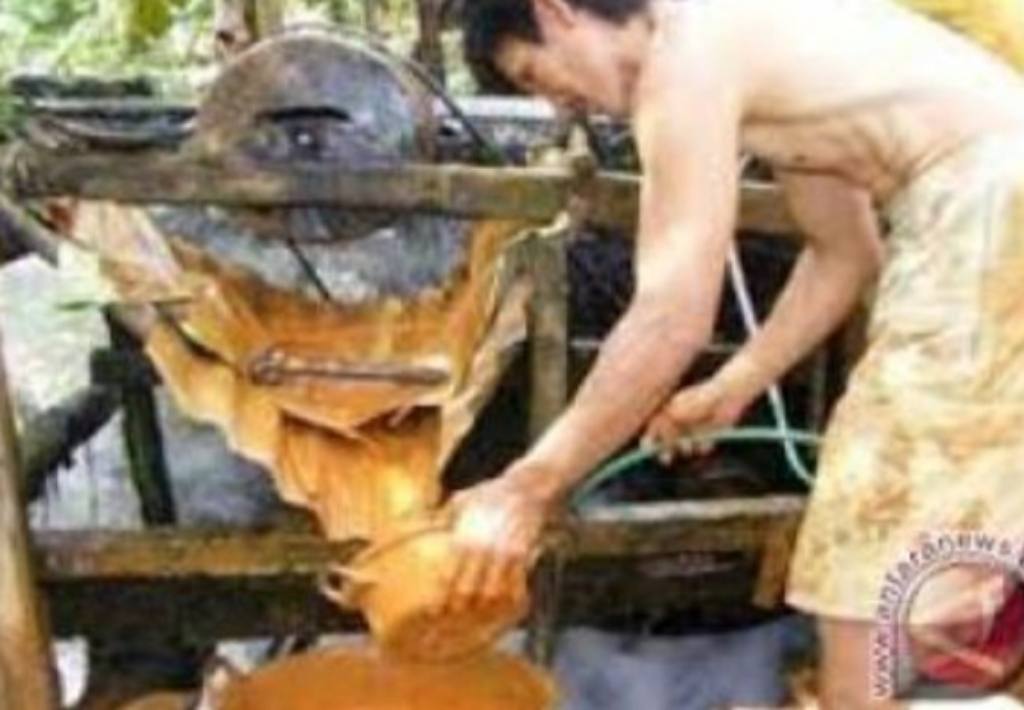 Kota Bengkulu