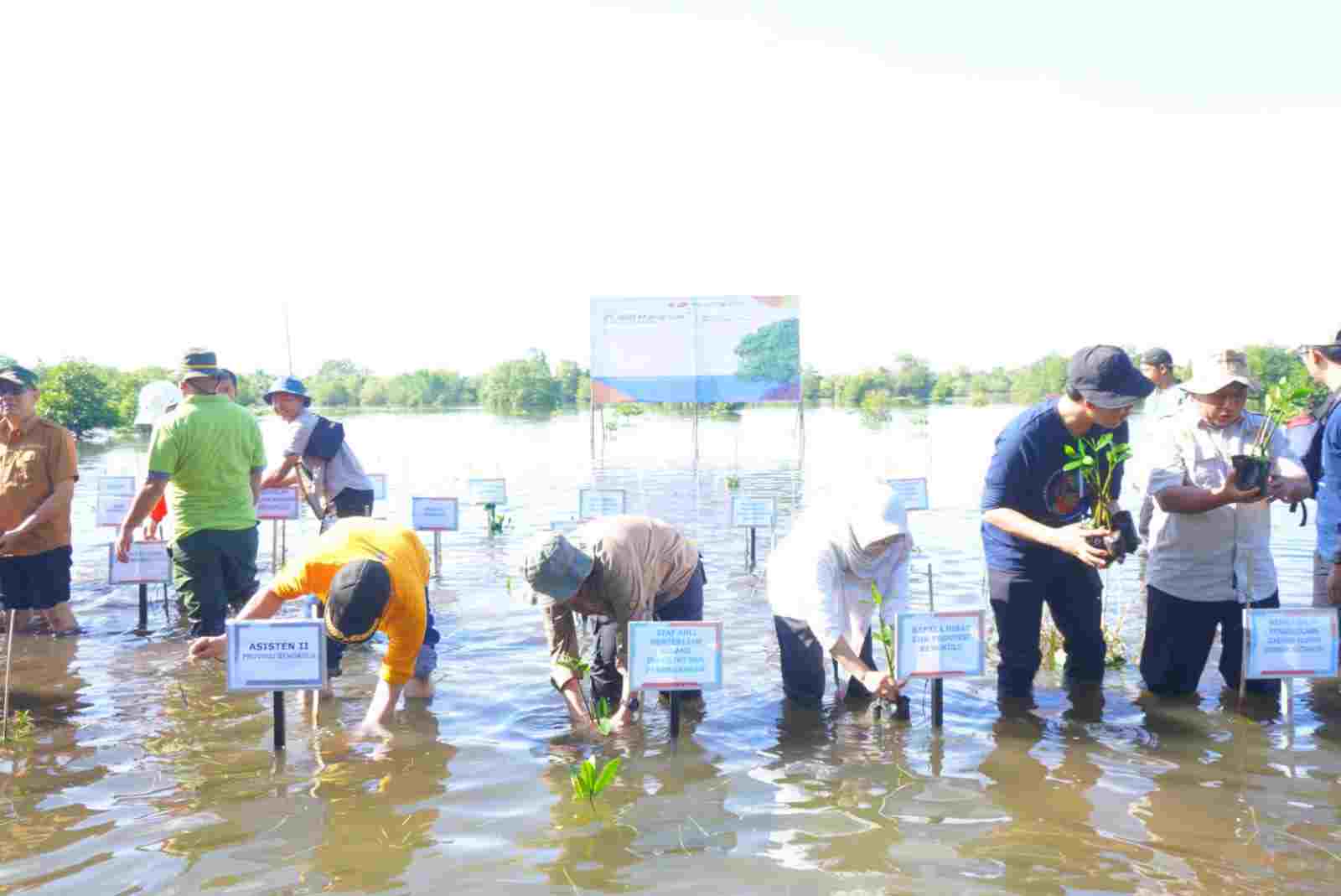 Kota Bengkulu